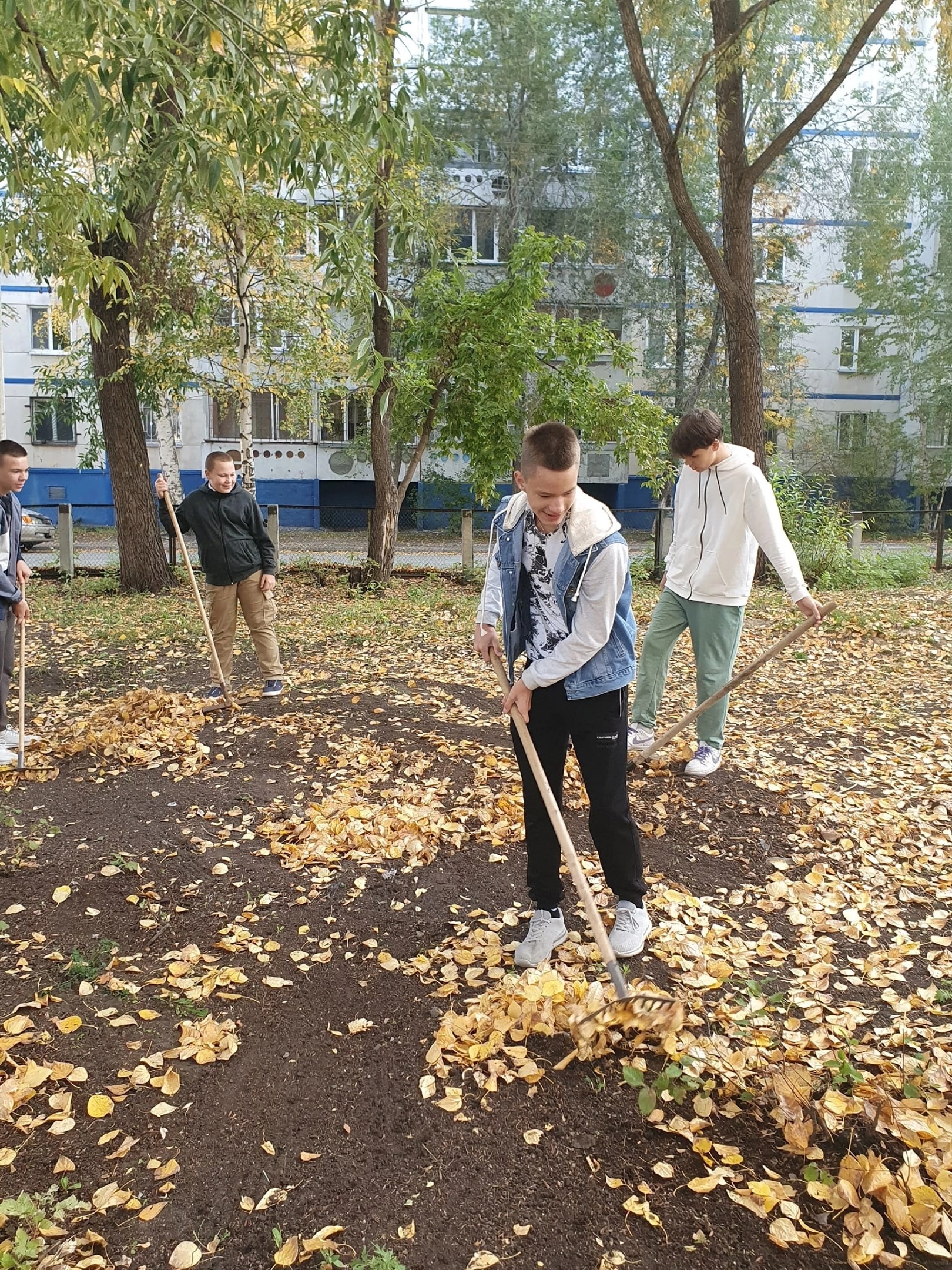 ТРУДОВОЕ ВОСПИТАНИЯ.